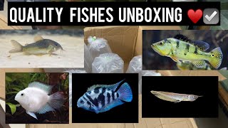 Quality fishes unboxing | Fat fish aquarium Kangayam