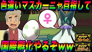 【ポケモンSV】色違い『マスカーニャ』のメスを目指して国際孵化をやるぞｗｗ口の悪いオーキド博士の実況【スカバイ】