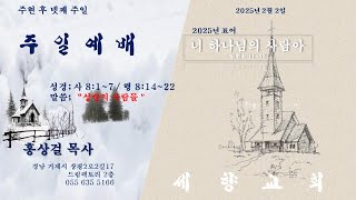 2025년 2월 2일 세향교회 주일 실시간 영상 예배