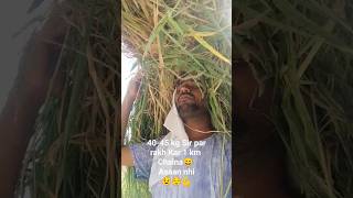 Kisan ki zindagi | Ankush Reactor #kisan #zindagi #farmer #shorts