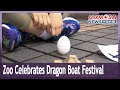 Taipei Zoo holds special activities for humans and animals on Dragon Boat Festival｜Taiwan News