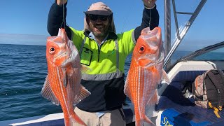 Coffin Bay KG Whiting and Nannygai