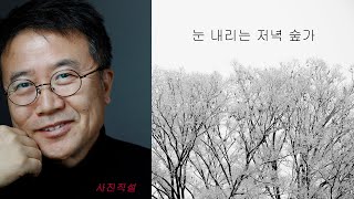 사진직설 / 눈 내리는 저녁 숲가