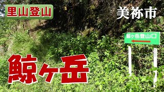 【里山登山】美祢市美東町 鯨ヶ岳