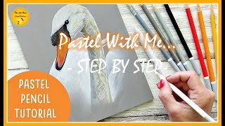 PASTEL PENCILS: Step by Step TUTORIAL | How to draw animals for BEGINNERS (EASY SWAN DRAWING)