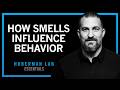 How Smell, Taste & Pheromones Shape Behavior | Huberman Lab Essentials