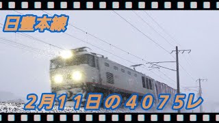 2/11 の 4075レ EF510-310                      朽網ー苅田 #日豊本線,#貨物,#4075レ,#ef510,