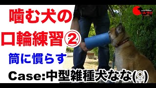 噛む犬の口輪練習②筒に慣らす【Case：中型雑種犬・なな (♀)】  PSDドッグサポートセンター　いぬプロ　inupro  犬プロ　イヌプロ　 犬のしつけ　教育　保護犬　歩行練習　リハビリ