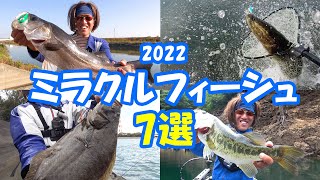 【総集編】2022ミラクルフィーシュ７選