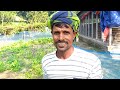 কি কি শাক সবজি ১২ মাসই চাষ করা যায় জেনে নিন vegetable cultivation process202