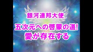 五次元への啓蒙の道!愛が存在する！銀河連邦オーロラレイメッセージ！プレアデス,銀河連合,大天使,シリウス,アセッション,グラウンディング,9Dアルクトゥリアス評議会,アルクトゥリアス,