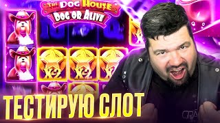 В ОЧЕРЕДНОЙ РАЗ ТЕСТИРУЮ СЛОТ THE DOG HOUSE DOG OR ALIVE