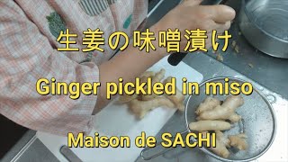 生姜の味噌漬け　　Ginger pickled in miso