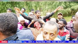 OROMIA11: Oduu Gaggabaaboo 8-17-2024