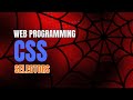 17 - CSS Selectors