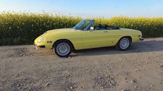 Alfa Romeo Spider Veloce