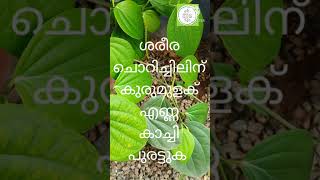 കുരുമുളക് ഗുണങ്ങൾ/black pepper/ayurvedam/healthy lifestile