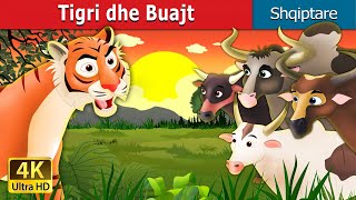 Tigri dhe Buajt  | Tiger and Buffaloes in Albanian |  @AlbanianFairyTales