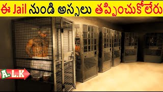 ఈ Jail నుండి అస్సలు తప్పించుకోలేరు || Movie Explained In Telugu || ALK Vibes