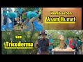 PEMBUATAN ASAM HUMAT DAN TRICODERMA