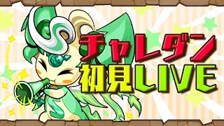 【パズドラ生放送】#78 7月チャレダン10【初心者歓迎】【パズドラ実況】