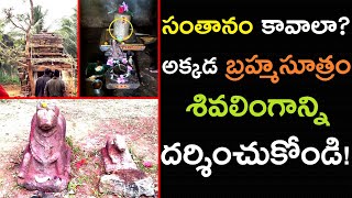 బ్రహ్మసూత్రం వున్న శివలింగం మన రణస్థలంలో| Brahmasutra Sivalayam | Ranasthalam | Srikakulam