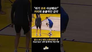 NBA 역대 최고 슈터의 무서운 감각 ㄷㄷ