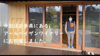 【ワイナリー訪問】岩手県の「アールペイザンワイナリー」さんに訪問してきました