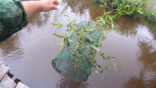 Рыбалка на Мордушку/Сухари/Чёрный Хлеб/Ветки дерева/Морда/Верша/Кубарь/Мордушка