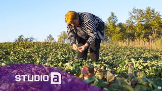 Shkurte Rrustemi filloi nga zeroja, por sot është njëra nga gratë më të suksesshme në biznes