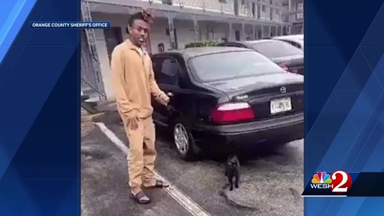 Man Arrested After Video Allegedly Shows Him Violently Flinging Cat In ...