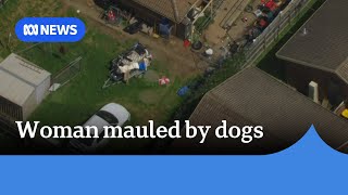 Woman in critical condition after being mauled by three dogs in Melbourne | ABC News