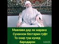 Мавлави Бохтари суханхои бехтарин