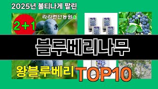 블루베리나무 없으면 안되는 쿠팡추천템 BEST 10