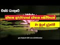 විශ්ව ධාතුවේ අවසාන ගුරුවරයාගේ අවසාන පණිවිඩයෙන් මා බුදුන් දුටුවෙමි