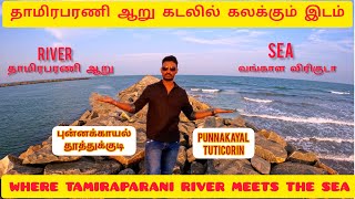 நதி கடலில் கலக்கிறது RIVER MEETS SEA