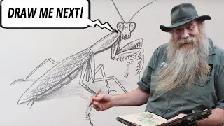 HOW TO DRAW A PRAYING MANTIS (Beginner to Intermediate)