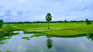 আহারে গ্রাম বাংলা || Beautiful Bangladesh || গ্রামের ভিডিও