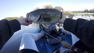 Catching BIG BASS at Cheadle Lake in Oregon