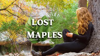 Explore Lost Maples State Park with Me! (Texas State Parks)
