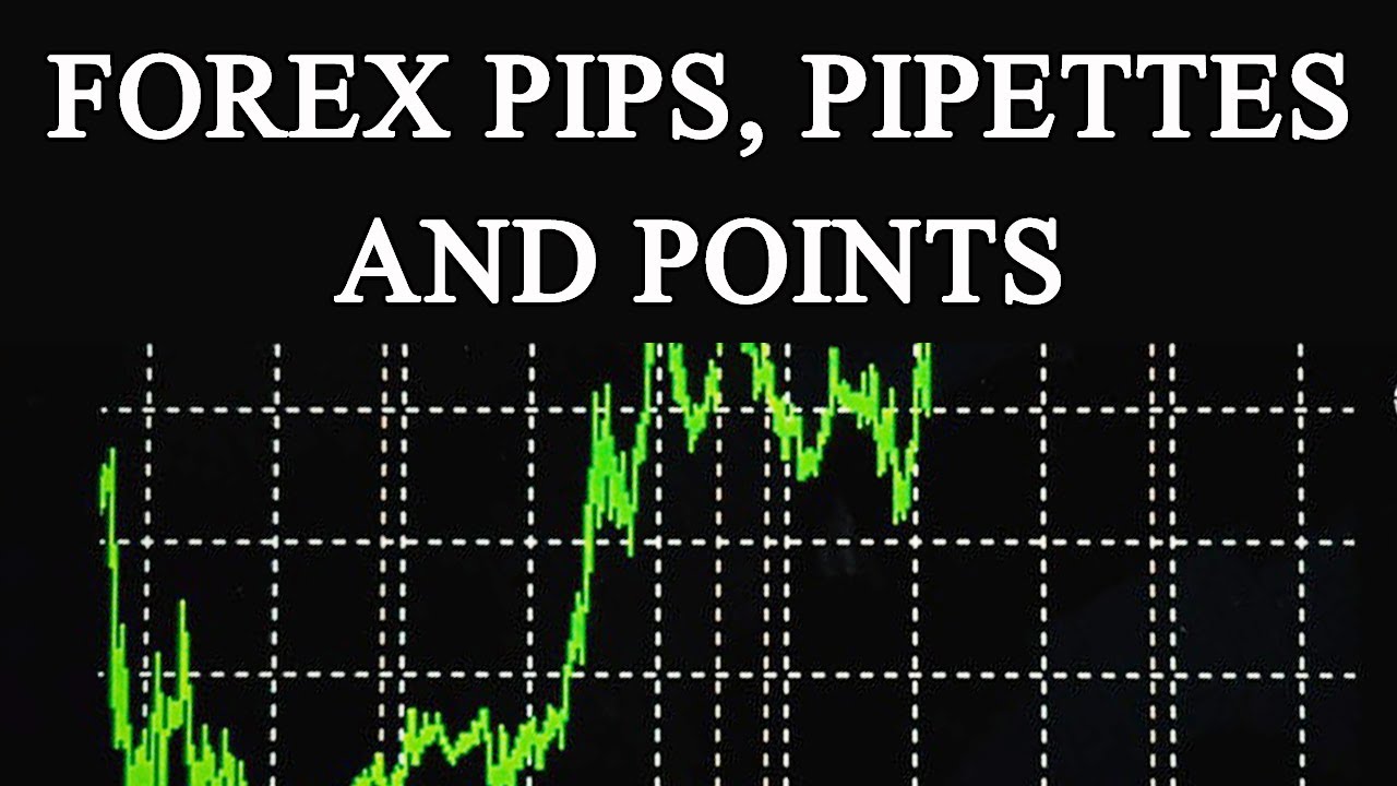 Forex Trading Tutorial For Beginners || Forex Pips, Pipettes And Points ...