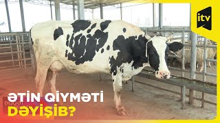 Qurban bayramı ərəfəsində ətin qiyməti dəyişəcəkmi?