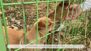 20학번 농대생이 소개하는 전남대학교 농업생명과학대학 원예생명공학과