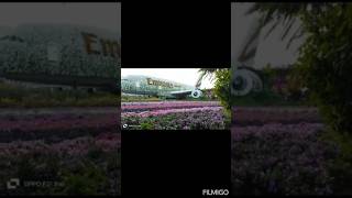 Dubai Miracle Garden || world's largest natural flower garden #dubai #Shahan  #Saara #Shasa #plane