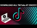 How to download all your TikTok videos at once - NO WATERMARK STEP BY STEP FREE