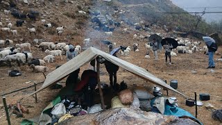 simple the best himalayan sherpa village life sheep from mountain daily activity