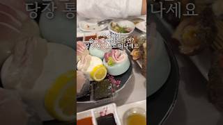 겨울엔 굴이랑 고등어회 잔뜩 먹을 수 있는 통영! 당장 떠나세오🐟 #통영여행 #통영맛집 #통영다찌