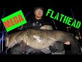 Giant Ohio River Flatheads-New PBs & Boat Record