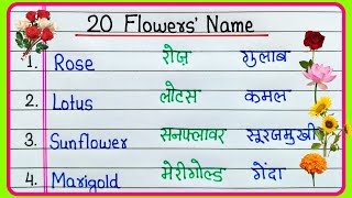 20 Flowers Name in English and Hindi/फूलों के नाम हिंदी और अंग्रेजी में/Phoolon ke naam/Flowers Name