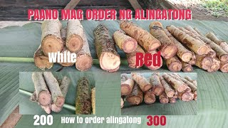 Joebert asor | How to Order RED ALINGATONG | Paano mag Order ng Alingatong